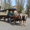 Den Bosch 2019 077